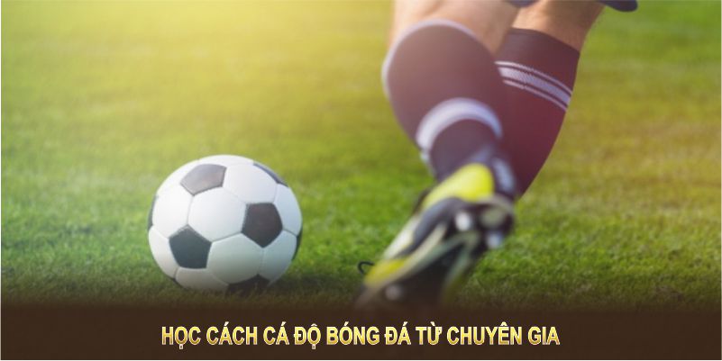 Học cách cá độ bóng đá từ chuyên gia giúp bạn đặt cược thông minh hơn