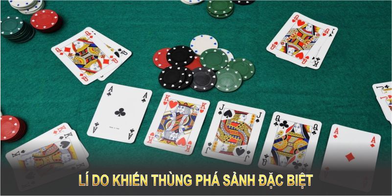 Lí do khiến Straight Flush trở thành tay bài đặc biệt