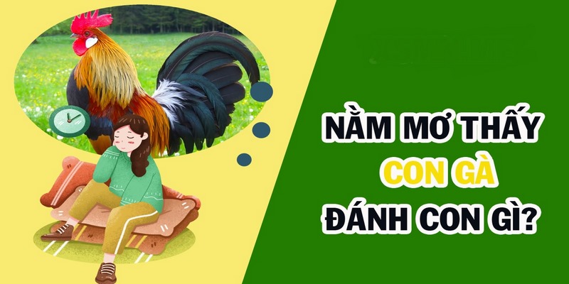 Con số may mắn khi chiêm bao thấy gà